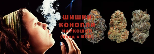первитин Богданович