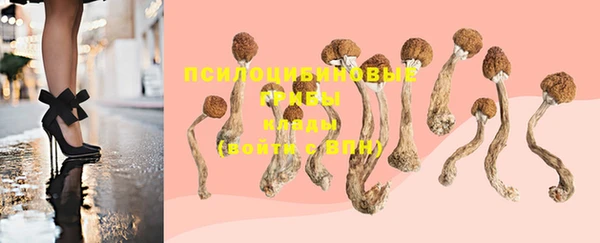 первитин Богданович