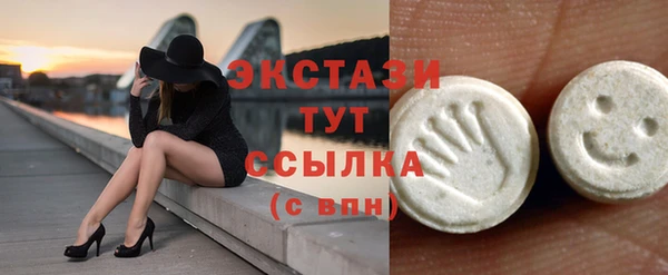первитин Богданович