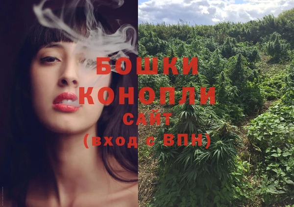 сатива Белокуриха