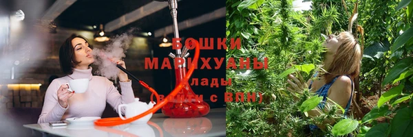сатива Белокуриха